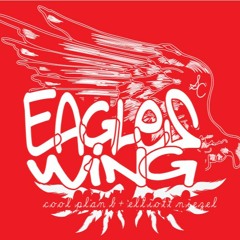 Cool Plan B + Elliott Niezel - Eagles Wing