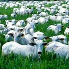 O que ela gosta a Jp & Xenyx