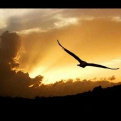 فيروز  ياطير