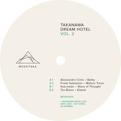 A2. Frank Sebastian - Mature Trees (Vinyl Only / MOSHI005)