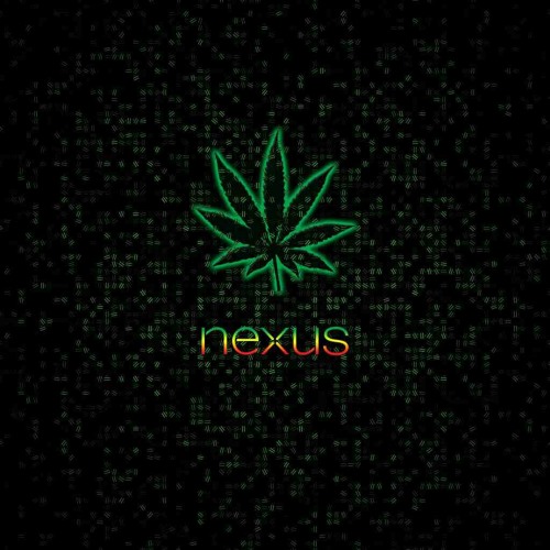 غناء(حمو التنجو،السورس،ميسو ميسرة، زياد الايراني)  نجوم مزيكا / مهرجان مزيكا و الافاطار