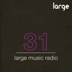 Large Music Radio 31 mixed by Jeff Craven
