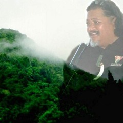 maori