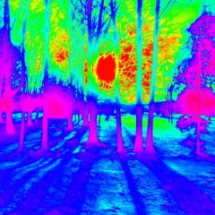 Karelus - My Own Space