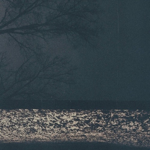 FOG LAKE - Erik