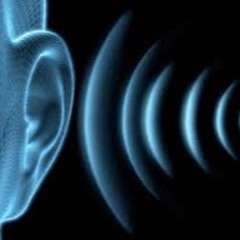 Hear the noise ringing