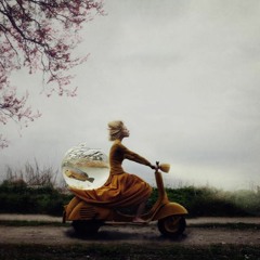 linden and chamomile