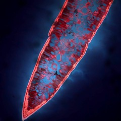 TRANCEMISSION - Otro Lugar