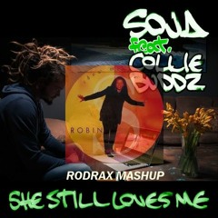 SOJA vs. Robin S - She Still Loves Me vs. Show Me Love (Rodrax Mashup)