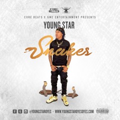 StaRR - Snakes