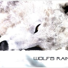 Anxious Wolves