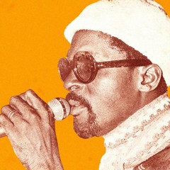 Funkier Than A Mosquitos Tweeter (Vinyl Mix)