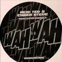 Sound System Banger Original Acid Ted & Cyber Steve