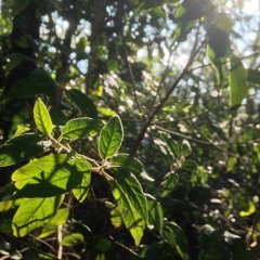 First Day Of My Life- Bright eyes cover