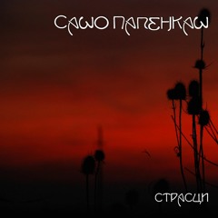 Saša Paljenkaš - The Dream