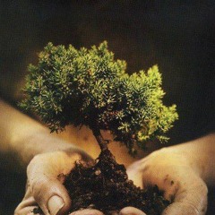 I am YES!  The calling for our IndieGogo