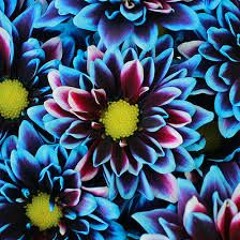 Madnesskey - Like Before