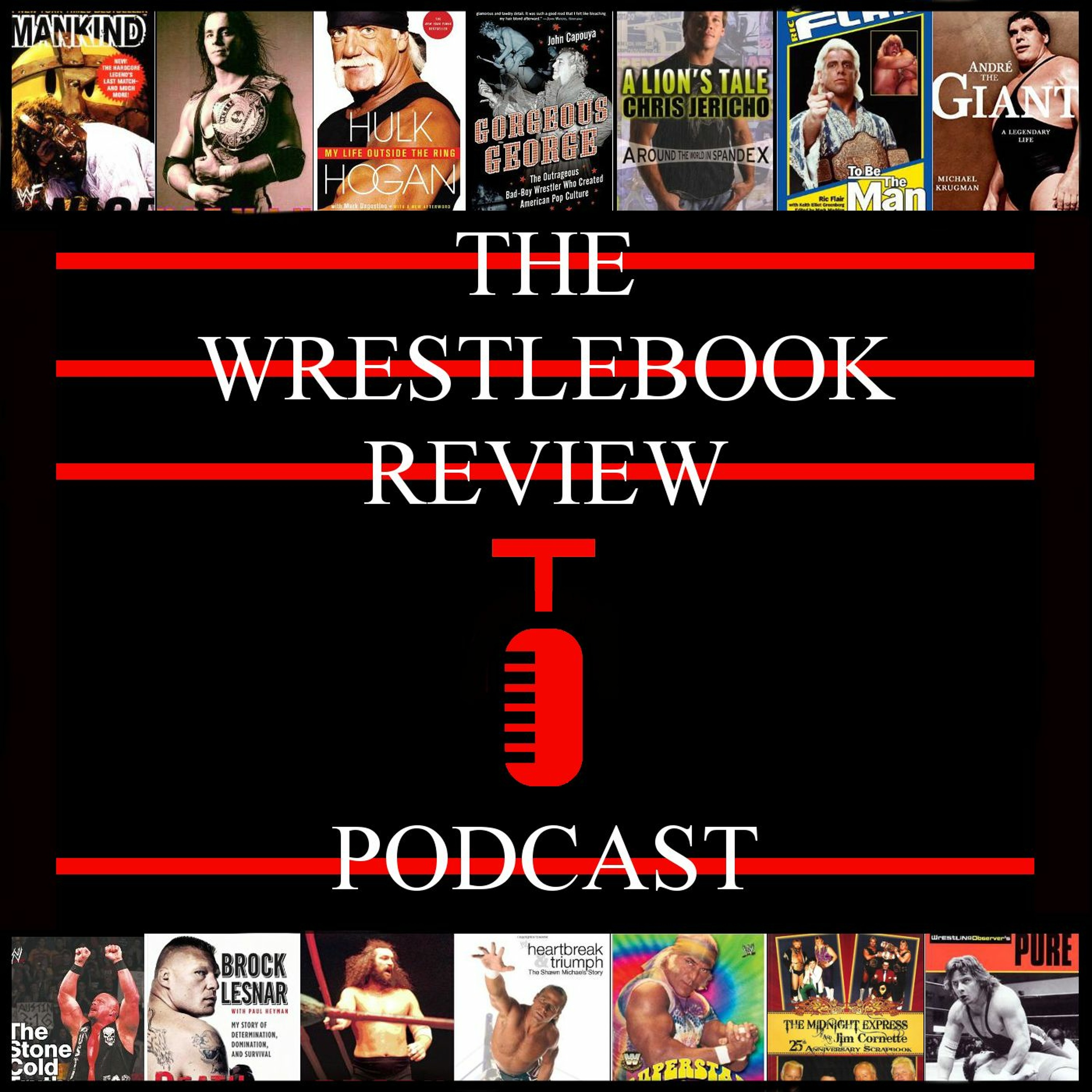 Episode 5 - Daniel Bryan and Overall Update episode artwork