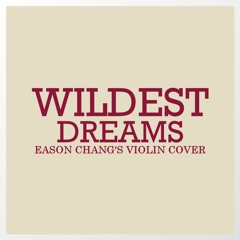Taylor Swift - Wildest Dreams (Violin Cover)