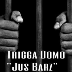 Trigga Domo-"Jus Barz"