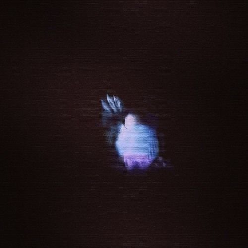 Léviter (NEST HQ Premiere)