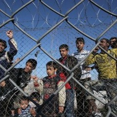 Kommentar: "Es sind zu viele"