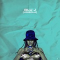 Rihanna Umbrella&#x20;&#x28;BLU&#x20;J&#x20;Remix&#x29; Artwork