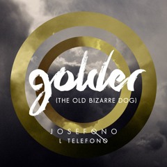 Golder (The Old Bizarre Dog)