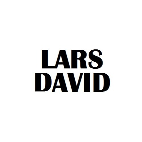 Alexandra Stan - Get Back (Lars David Remix)(Avicii Style)