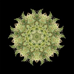 Visible Analog-DubTime Mix