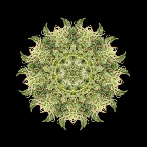 Visible Analog-DubTime Mix