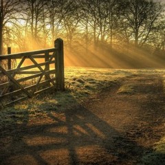 Back Down South - Kings Of Leon cover