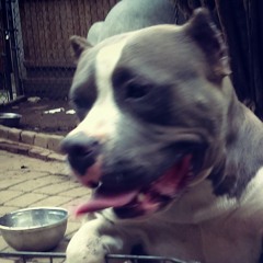 Sypha Don - Know Better.mp3