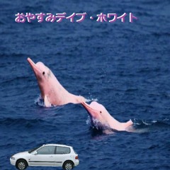 Stroll Through Tokyo