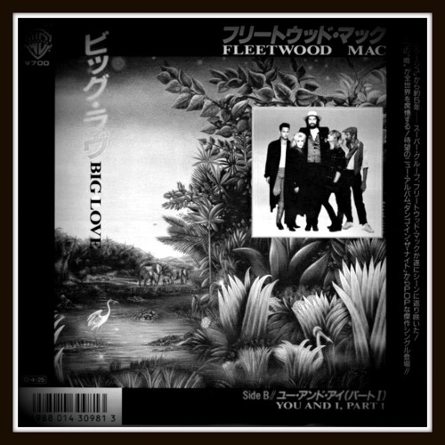 Fleetwood Mac - Big Love (JDR Edit) FREE DOWNLOAD