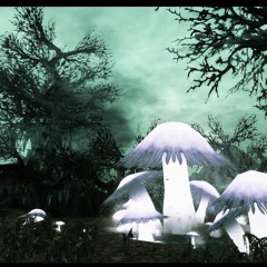 Yatzee Vs Amras - Shwoi