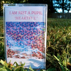 New Clear World Order