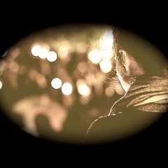 You've Got Nothing  (My Bloody Valentine cover)