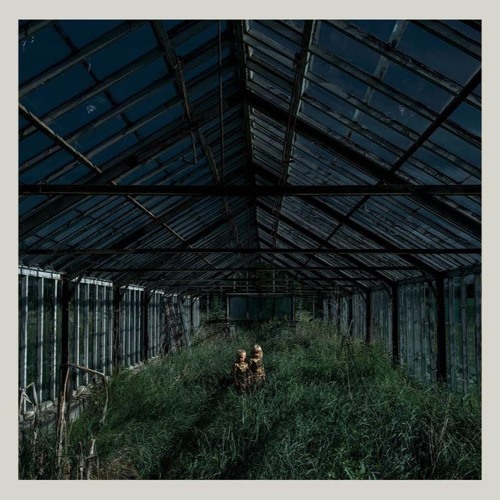 Foxing - "Weave"