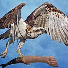 Prey With Fist - To Hell