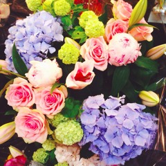 Kodaline - All I Want (cover)