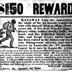 #MazeSaid | The Commentators | The Escape from Plantation Politics