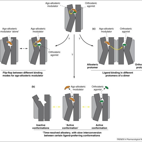 allosteric enhancer