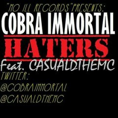 HATERS FEAT. CASUALDTHEMC at PROD. BY PARABELLUM BEATS