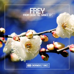 FREY - I Don't Want Your Number (Radio Mix) OUT NOW