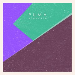 Ashworth - Puma (12" Mix)