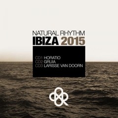 Minijack Tulip - New Rules (Natural Rhythm Presents Ibiza 2015 - Part 2 - Mixed By Gruia)