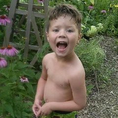 The periodic absence