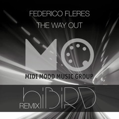 Federico Fleres - The Way Out (HIBIRD Remix) FREE DOWNLOAD CLICK BUY LINK