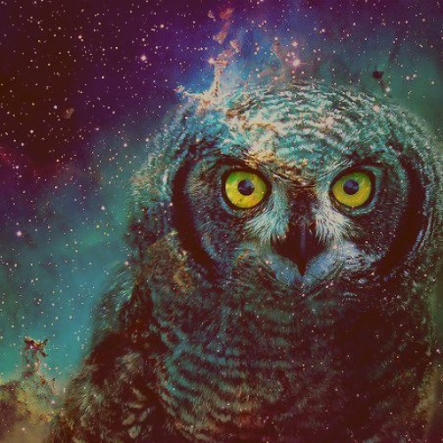 Nightfang - Survive (FREE 2K FOLLOWERS)